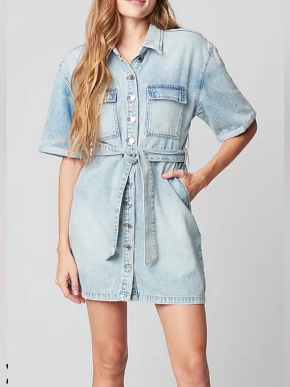 Blank NYC Denim Button Up Cotton Dress